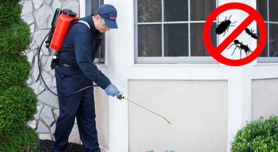 Karacasu Kemirgen İlaçlama böcek ilaçlama ve haşere kontrolü — ilaclama-tr.com